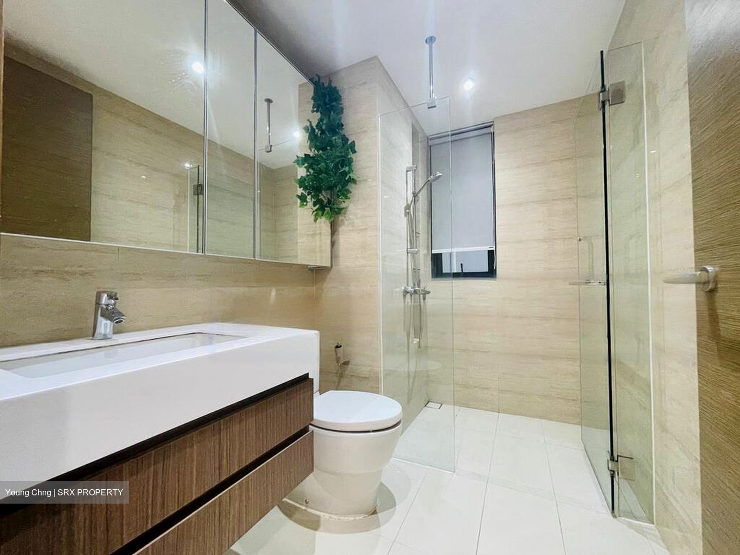 The Palette (D18), Condominium #484968561